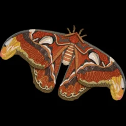 Junior's Design By Humans Atlas Moth By Myartlovepassion T-Shirt