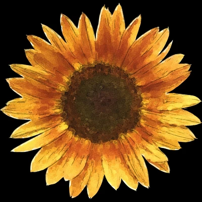 Junior's Design By Humans Sunflower By Maryedenoa T-Shirt 3 Junior's Design By Humans Sunflower By Maryedenoa T-Shirt